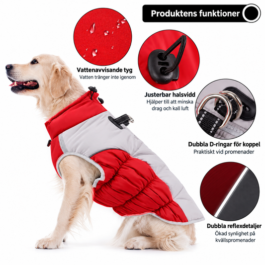 Vinterglöd™ - Vadderad hundjacka med sele