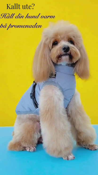 FrostPaw™ – Varm Hundjacka med Integrerad Sele